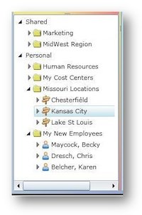 customizable reporting groups in explorer tree
